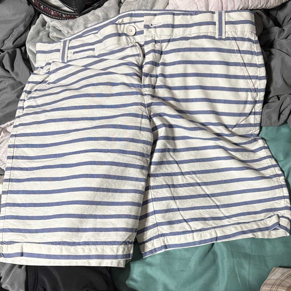 GAP Women's Blue and White Striped Shorts